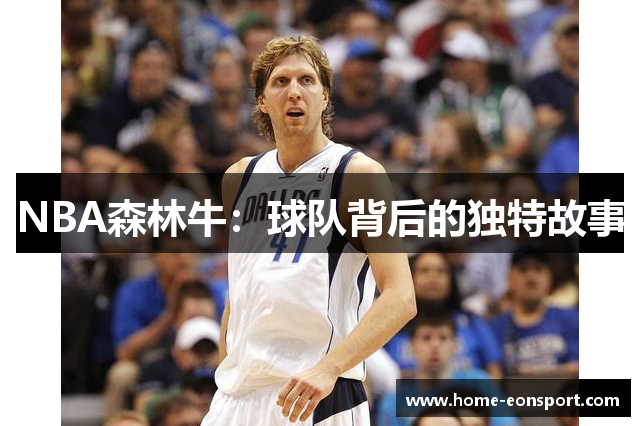 NBA森林牛：球队背后的独特故事